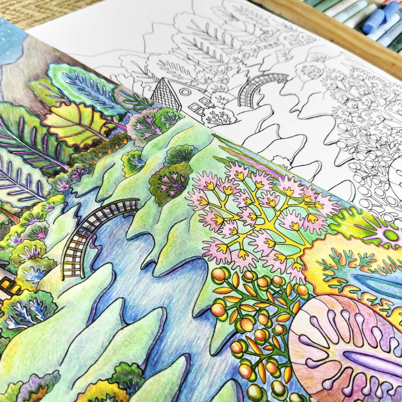 Magic Forest Adult Coloring Page Printable / Magic Holiday - Etsy