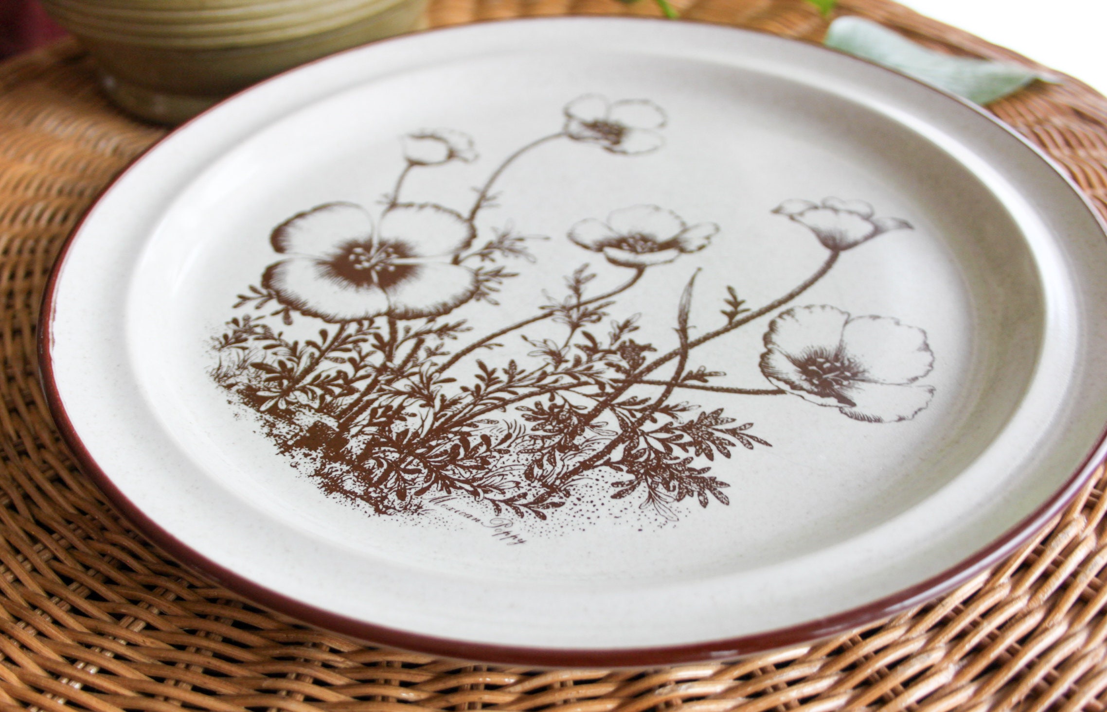 Noritake Stoneware Desert Flowers Dinner Plate Mexican Poppy Etsy