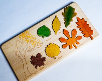 Autumn leaves puzzle set. Montessori wooden educational leaves learning toy.