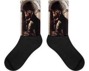 Aristotle Socks