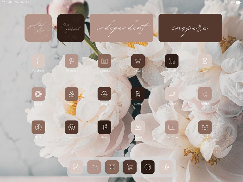 Ipad Ios 15 Brown Aesthetic App Icons Pack Etsy