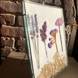 Onward Winter Soldiers - Pressed and Dried Winter White, Pink and Purple Flowers in Vintage Glass Frame