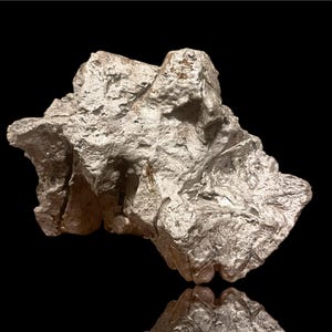 Museum-Quality 10.64 lb Aletai Iron Meteorite End - Cut Etched with Fusion Crust Rare Specimen