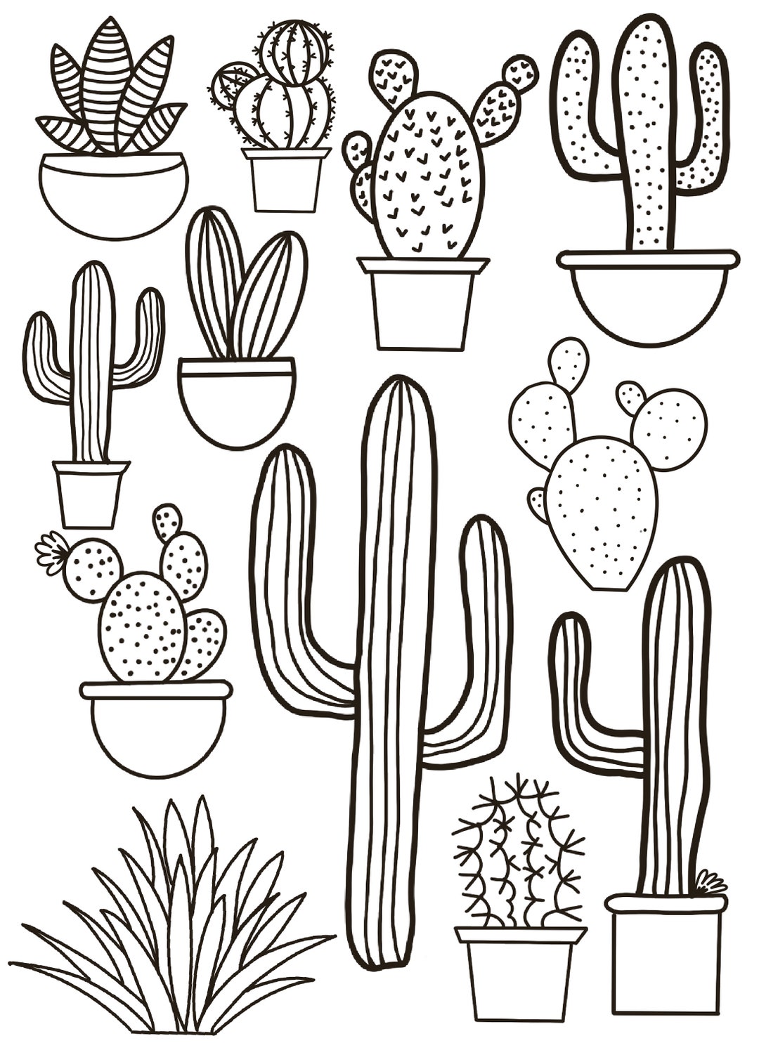 Risco suculenta  Cactus drawing, Cactus paintings, Coloring pages