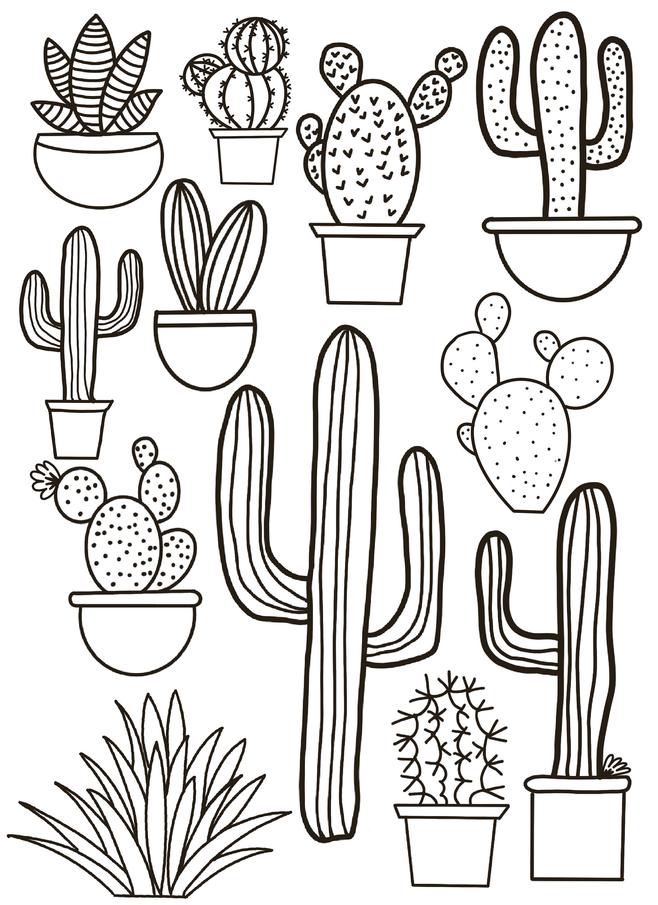 Coloring Pages For Cacti