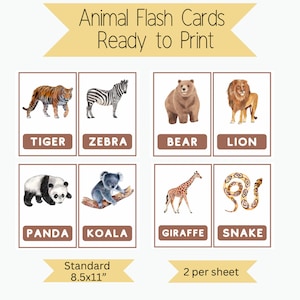 Wild Animal Flashcards,Animal flashcards,Kids Flashcards,Toddler learning Activies,Flashcards for the classroom,Homeschool Supplies