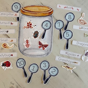 Bug kit for kids,Printable insect bug explorer pretend play,bug matching game,Number matching,word matching,dramatic play,insect downloads