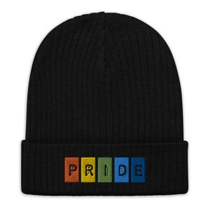 Ribbed Knit Beanie,Pride, Pride Beanie, Pride Month, LGBT, LGBTQIA, Love Wins,