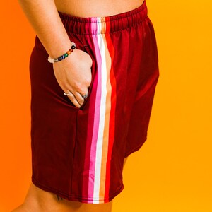 May include: Burgundy athletic shorts with a colorful vertical stripe down the side. The stripe features bands of white, pink, orange, and red. The shorts have an elastic waistband and pockets.