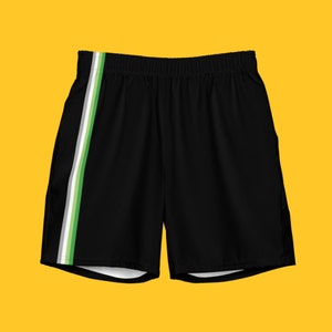 Aromantic Pride Swim Trunks / Aro Shorts Swimwear / Aromantic Flag