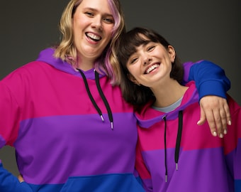 Bi Flag Colorblock Hoodie / Bisexual Pride Hoodie