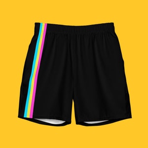 Pansexual Pride Badehose / Panromantische Shorts Bademode / Pansexual Flagge