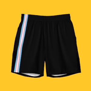 Transgender Pride Swim Trunks / Transmasc Swimwear / Trans Flag Shorts