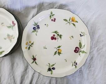 Noritake Gala Cuisine "Fruit Parfait" Dinner or Salad Plates, Sold In Sets