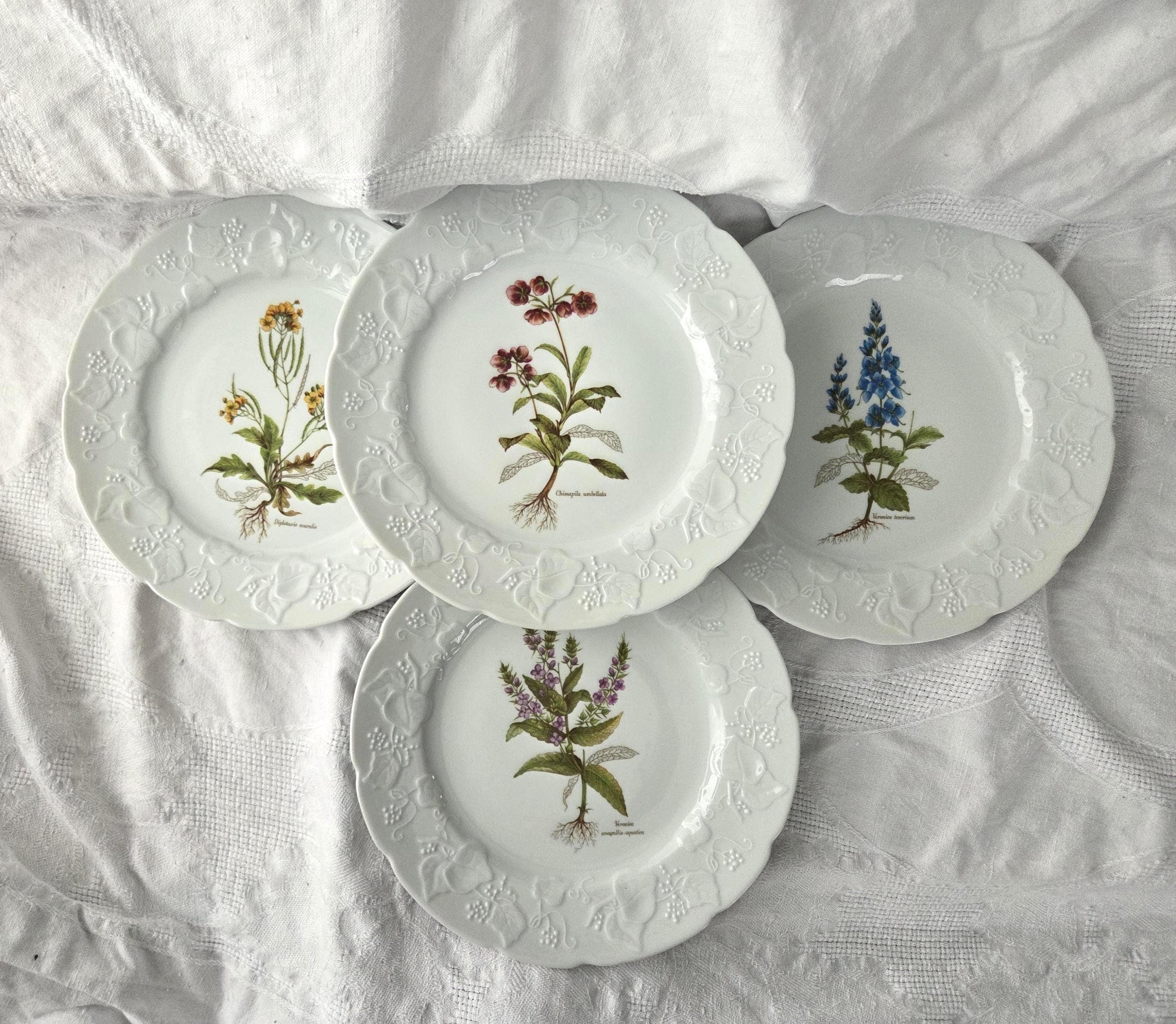 Vintage philippe deshoulieres limoges plates - Etsy 日本