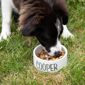 Personalized Ceramic Dog Bowl: Custom Photo or Name Pet Dish (7&quot; and 5.5&quot; Sizes)