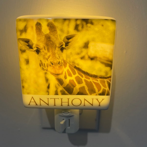 Bathroom Night Light Etsy