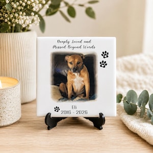 May include: A square white ceramic tile memorial plaque featuring a centered photograph of a brown and white dog. The text reads Deeply Loved and Missed Beyond Words, with the name Eli and the years 2016 - 2026 below, accented by black paw prints.