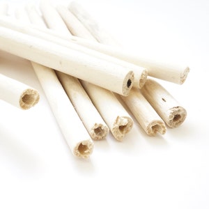 Natural Jute Sticks Chew for Bunnies and Guinea Pigs | Natural Chew Toys for Small Pets | Rabbits, Chinchillas and other Small Pets
