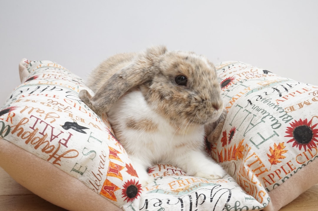 Bunny Cuddle Bed for Bunnies Small Pet Beds and Accessories for Rabbits, Guinea Pigs