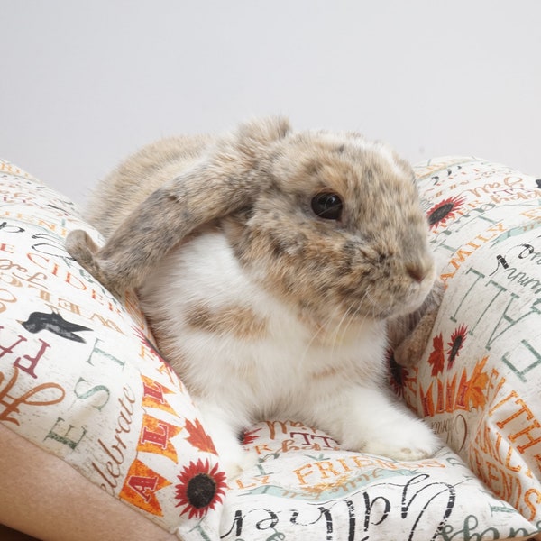 Bunny Cuddle Bed for Bunnies | Small Pet Beds and Accessories for Rabbits, Guinea Pigs, Chinchillas, Hamsters and Small Animals