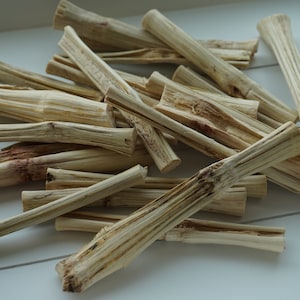 Bamboo Sticks for Bunnies and Guinea Pigs | Premium Bamboo Sticks for Rabbits, Guinea Pigs, Chinchillas and other Small Pets