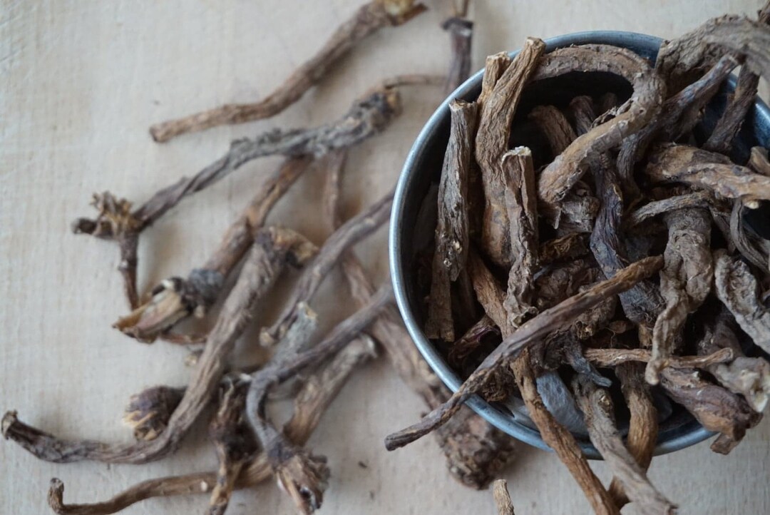 Whole Dandelion Root for Bunnies Natural Forage Treats for Rabbits Organic Hay Topper for