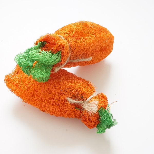 Loofah Carrot Toy for Bunnies | Boredom Breaker Chew for  Rabbits, Guinea Pigs, Chinchillas and Other Small Pets