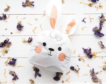 Binky Bunny Bag | Spring Treat Forage Mix for Bunnies | Hay Topper Fruit + Veg Mix for Rabbits, Guinea Pigs, Chinchillas &  Other Small Pets