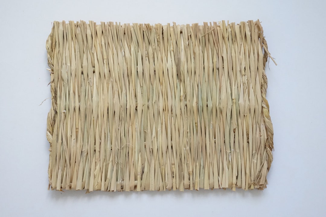 Grassy Seagrass Chew Mat for Bunnies Etsy UK
