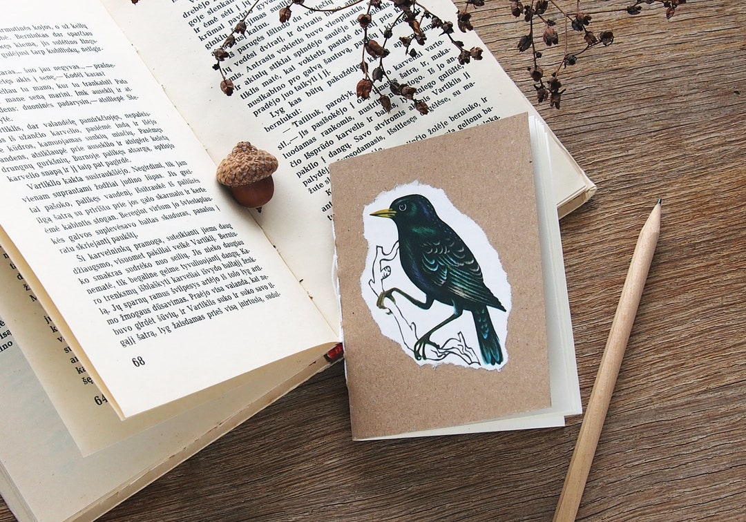 Starling Tiny Notebook, Bird Notebook, Bulk Notebooks With Plain Pages ...