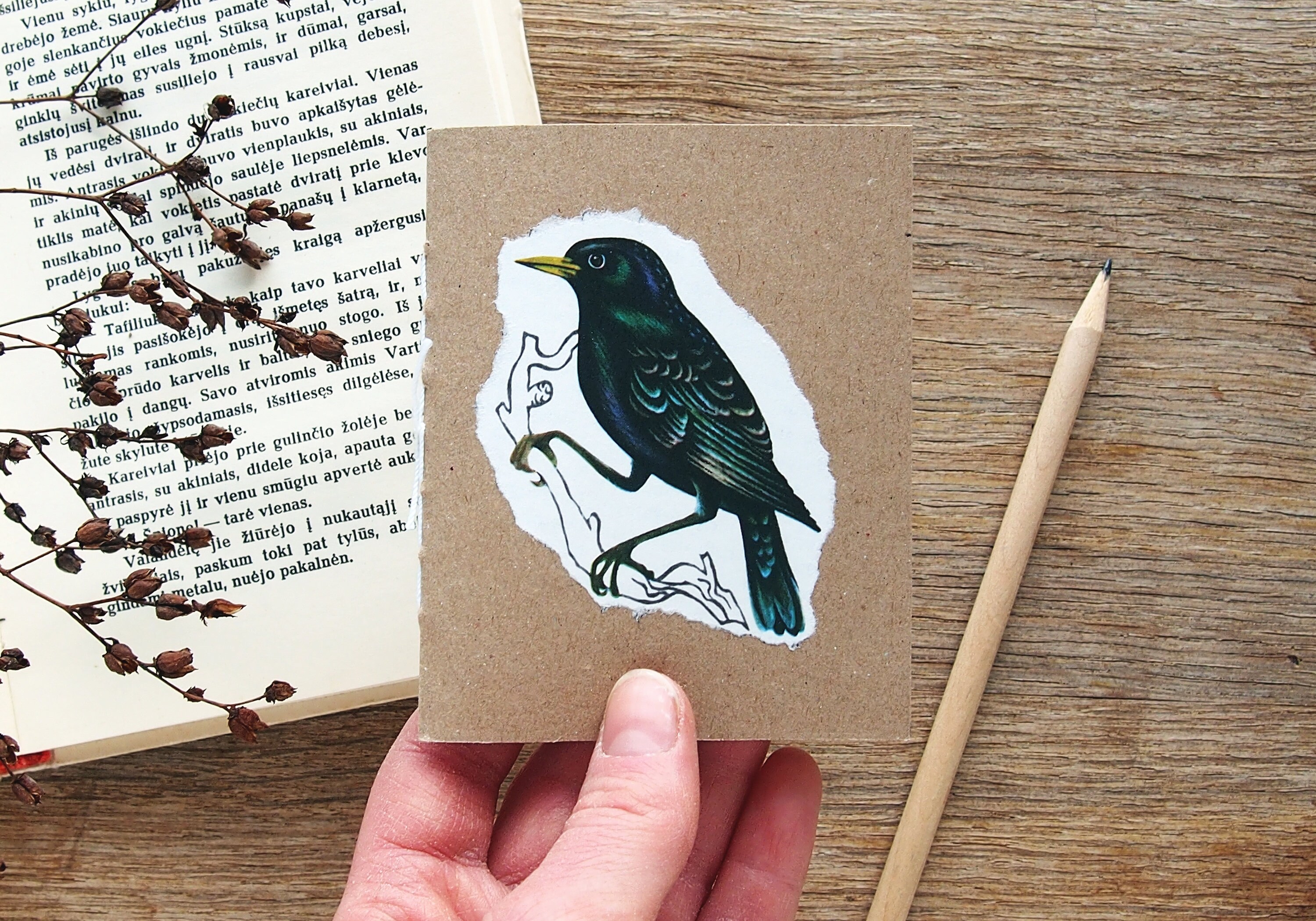 Starling Tiny Notebook, Bird Notebook, Bulk Notebooks With Plain Pages ...