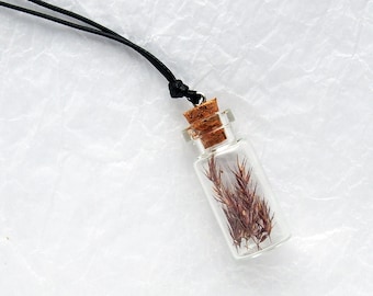 Mini bottle necklace with Melinis minutiflora, enchanted forest necklace, glass vial necklace with tiny terrarium, magic bottle necklace