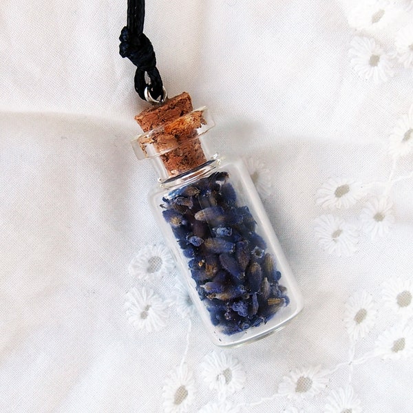 Mini collier de bouteille avec fleurs de lavande séchées, collier de forêt enchanté, collier de flacon en verre avec minuscule terrarium, petit collier de bouteille