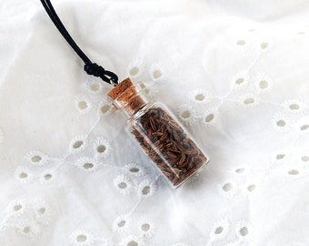 Mini bottle necklace with Cumin, enchanted forest necklace, glass vial necklace with tiny terrarium, miniature glass vial pendant