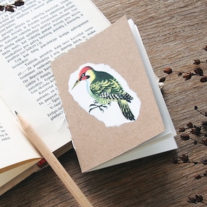 Specht Notizbuch, Vogel Notizbuch, Notizbücher mit uni Seiten, Kraft Notizbuch mit Vintage Druck, wildes Notizbuch