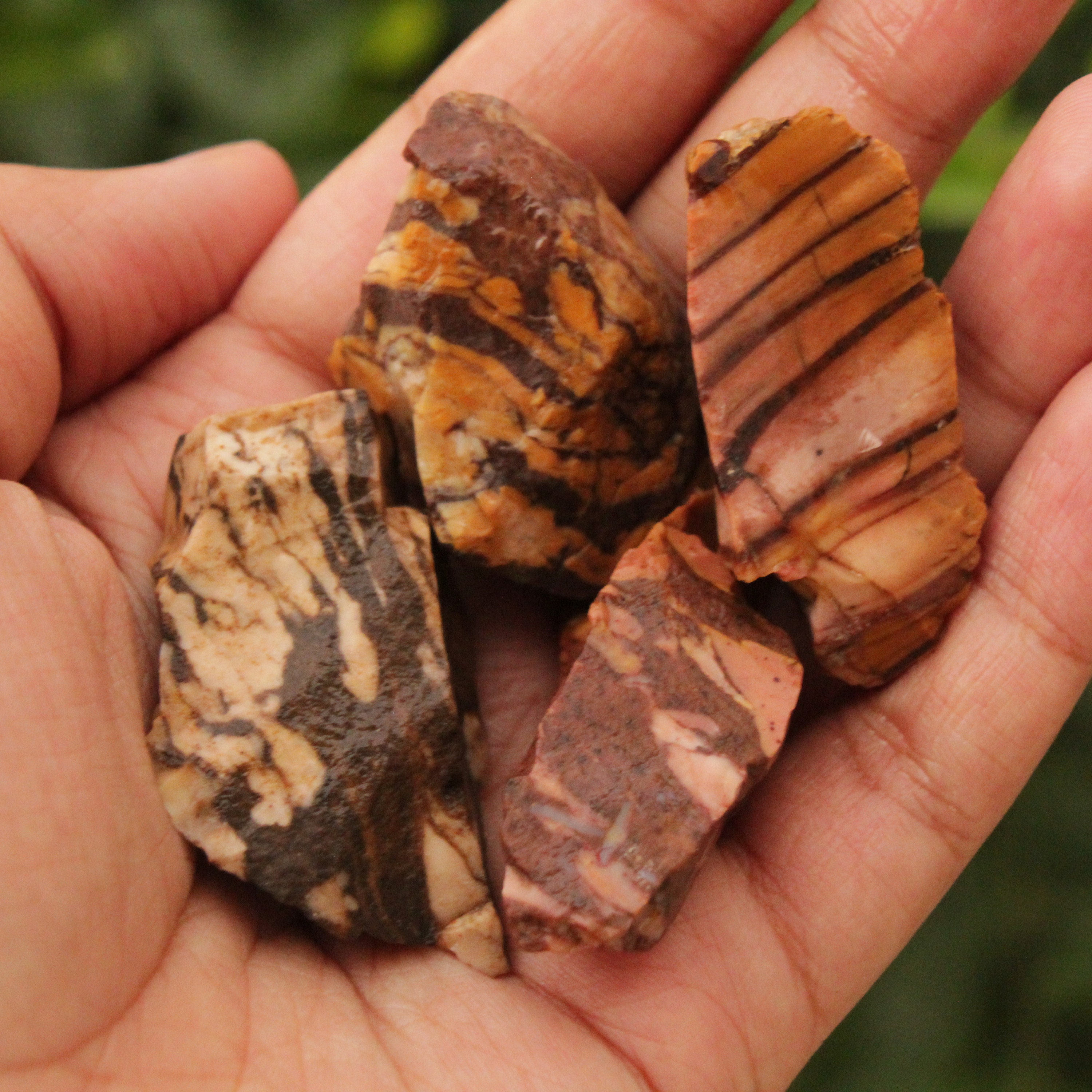 Brown Zebra Jasper zebra jasper rough Raw brown zebra Etsy