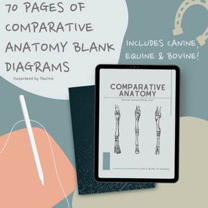 Skeletal Comparative Animal Anatomy Blank Notes