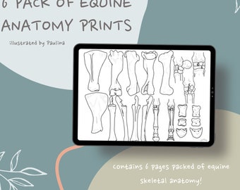 Paardenanatomie digitale prints - 6 stuks