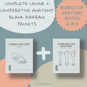 BUNDLE** Canine & Comparative Animal Anatomy Blank Notes