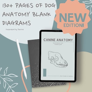 Notes vierges d'anatomie canine - 2e édition