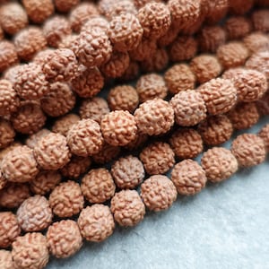 3 Sizes - Natural Rudraksha Beads 6mm, 8mm 10mm, 108 beads Japa Beads, Seed Wood Beads, Meditation Prayer Beads, Craft Supplies