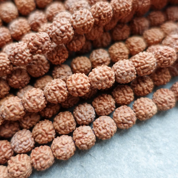 3 Sizes - Natural Rudraksha Beads 6mm 8mm 10mm, 108 beads Japa Beads, Seed Wood Beads, Meditation Prayer Beads, Craft Supplies