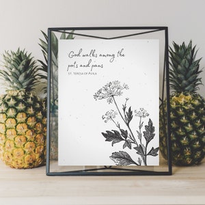 Puede incluir: Una impresión enmarcada en negro con fondo blanco y una ilustración en blanco y negro de una planta. La impresión tiene la cita "Dios camina entre las ollas y las sartenes" de Santa Teresa de Ávila.