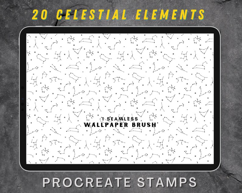 high resolution graphics night sky 20 Celestial elements procreate Stamps zodiac astrology