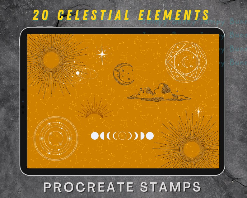 high resolution graphics night sky 20 Celestial elements procreate Stamps zodiac astrology