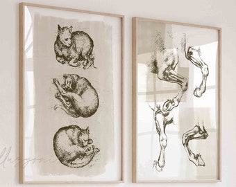 May include: Two framed illustrations, one with a series of sketches of a cat sleeping in different positions, the other with sketches of a horse's legs in various poses. The illustrations are hung on a white wall above a white sofa with green cushions.