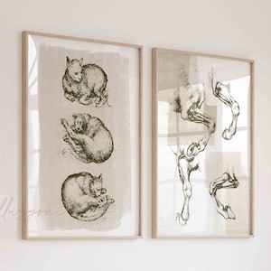 Abstract Animal Set of 2 Drawings, Sleeping Cat Sketch, Leonardo Da Vinci Poster, Printable Wall Art, Da Vinci Print, Horse Legs, Boho Print