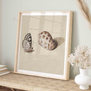 Impresión vintage de conchas marinas, boceto de mariposa, arte de pared imprimible, decoración náutica, cartel del océano, mariscos, dibujo antiguo, casa de playa tropical