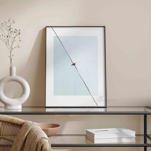 May include: A framed print with a minimalist design featuring a single bird perched on a wire against a light blue background. The print is framed in black and has the word "illusions" written in the bottom right corner.